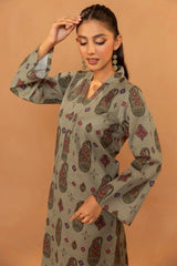 HAFSA 2Pc - Printed Khaddar Dress